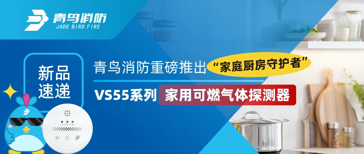 新品速递 | abpay钱包消防重磅推出&ldquo;家庭厨房守护者&rdquo;&mdash;&mdash;VS55系列家用可燃气体探测器